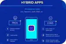 Hybrid Application